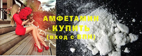 индика Богородск