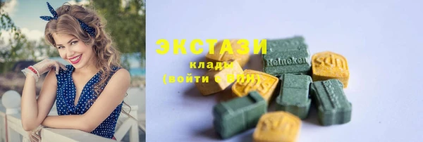 индика Богородск