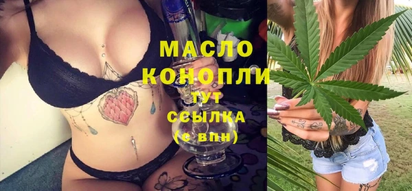 индика Богородск