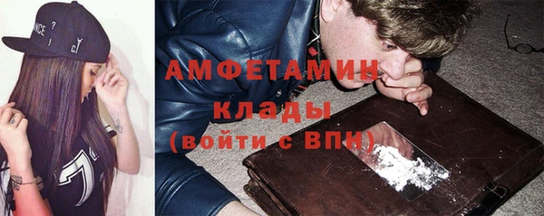 индика Богородск