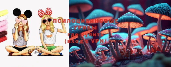 индика Богородск