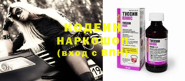 индика Богородск