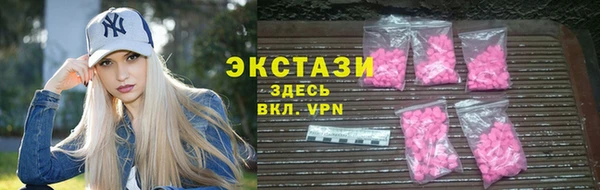 индика Богородск
