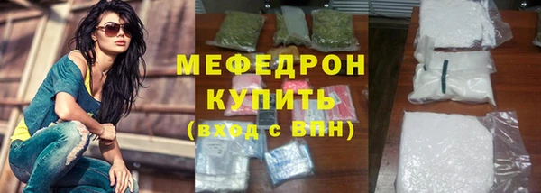 индика Богородск