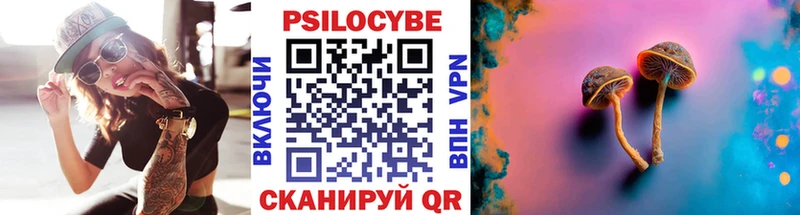 Галлюциногенные грибы Psilocybe  Купить  Ревда 